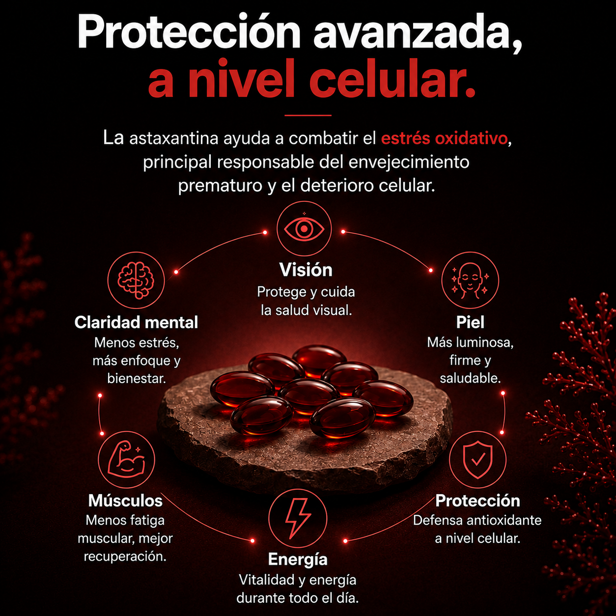 Astaxantina Premium 12 MG | Extracto Natural de Microalgas.
